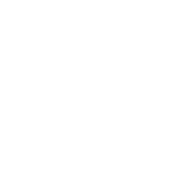 disability (1)
